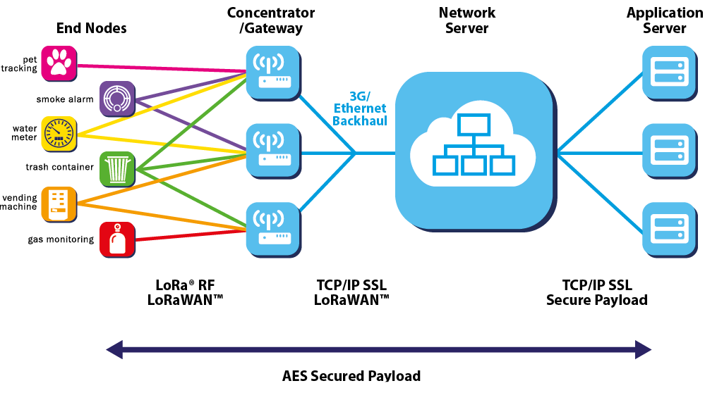 Network Architecture Network Architecture
